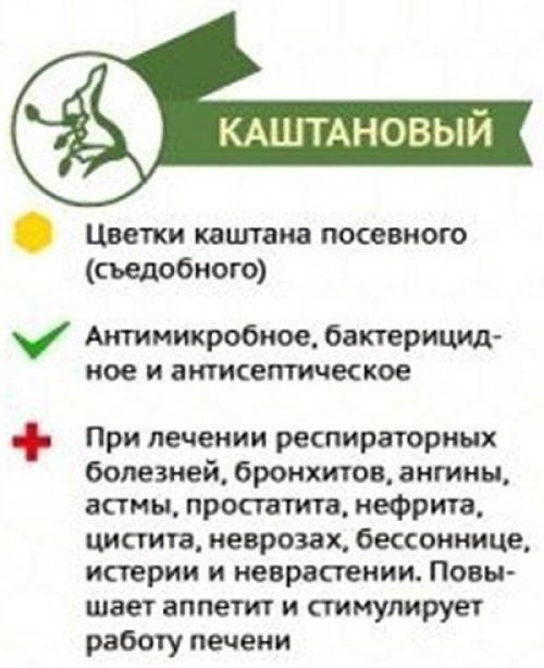 Сoрта медa и их влияние на наш организм. 01