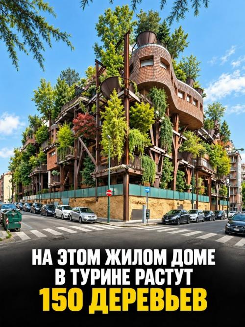 Дизайнеры придумали вещи, которые выглядят странно, но решают реальные проблемы. 06