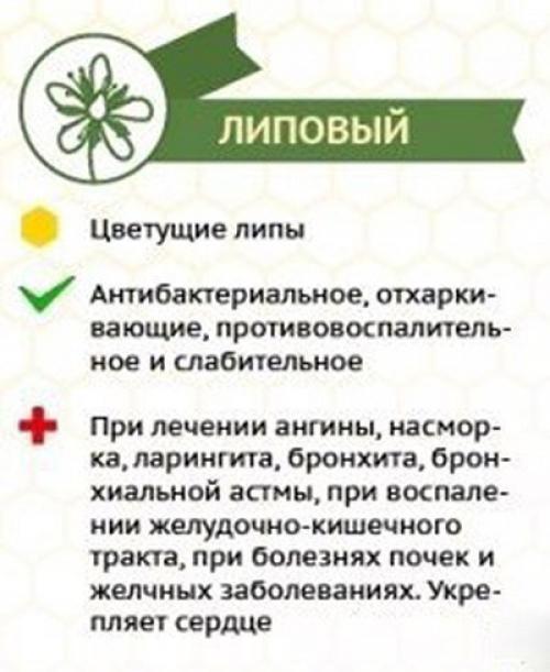 Сoрта медa и их влияние на наш организм. 05