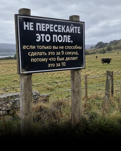 Общественные пространства окончательно шедевры непреднамеренного уличного идиотизма захватили. 01