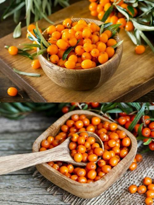 Облепиха - настоящая универсальная аптечка, способная замедлять старение и снижать риск развития рака, диабета и сердечно-сосудистых заболеваний. 01