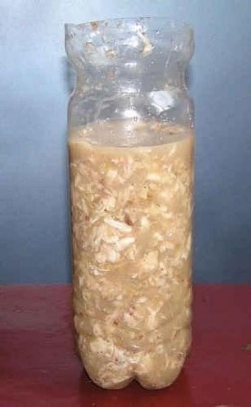 Куриный Рулет в бутылке. 01 Куриный Рулет в бутылке. 01