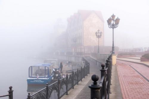 Туманный Калининград.  Серия атмосферных кадров фотографа Людмилы Комаровой. 07