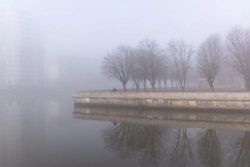 Туманный Калининград.  Серия атмосферных кадров фотографа Людмилы Комаровой. 01