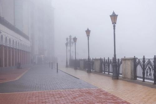 Туманный Калининград.  Серия атмосферных кадров фотографа Людмилы Комаровой. 03