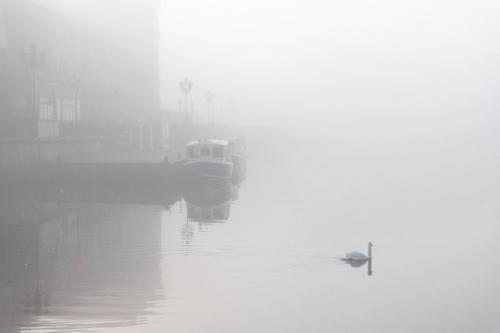 Туманный Калининград.  Серия атмосферных кадров фотографа Людмилы Комаровой. 06
