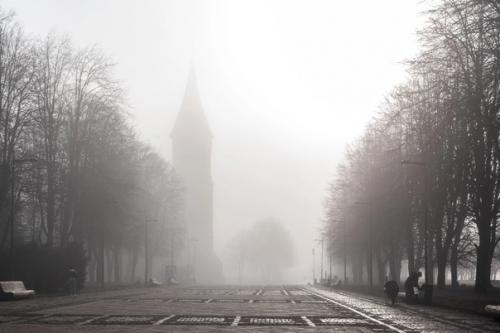 Туманный Калининград.  Серия атмосферных кадров фотографа Людмилы Комаровой. 04