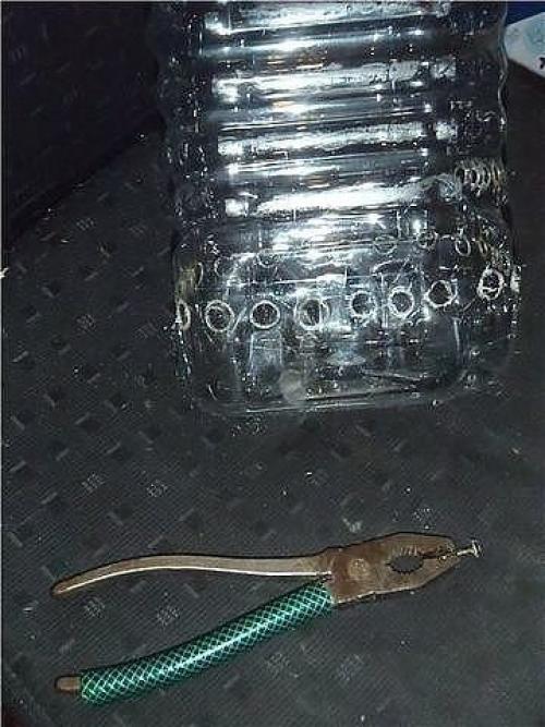 Как вырастить лук дома. 01 Как вырастить лук дома. 01