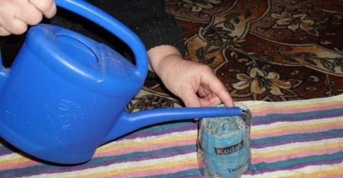 Безземельная технология выращивания рассады. 08