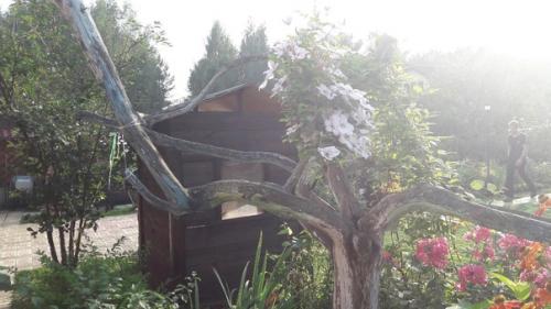 Всё сделано руками моего мужа. 02