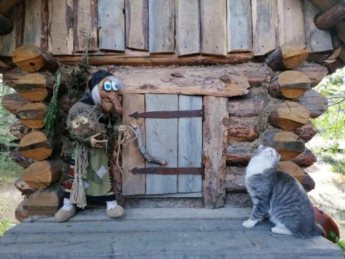 Муж построил избушку на курьих ножках, а я наполнила её обитателями. 01