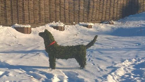 Как вам такой плетеный забор и беседка от нашего подписчика? 06