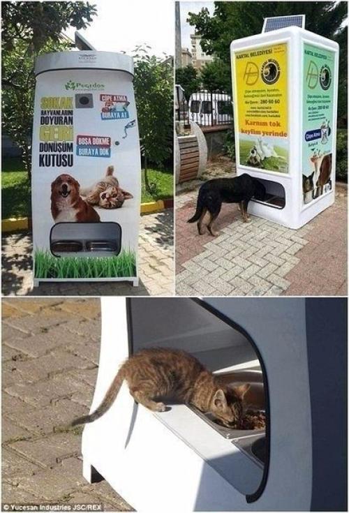 Вот это уровень! 02