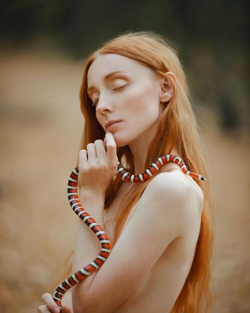 Lost In The Forest (затерявшаяся в лесу). 05