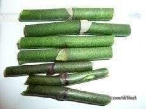 Как размножать орхидею фаленопсис. 03 Как размножать орхидею фаленопсис. 03