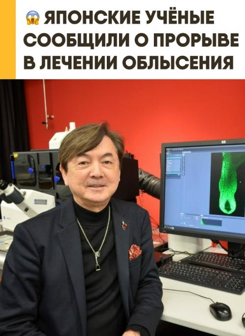 Японские учёные о прорыве в борьбе с облысением заявили.  