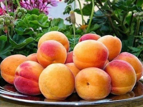 Ловите!  Немножко сладкого и ароматного лета вам в ленту! 05