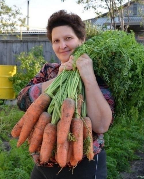 Я мopковь сею следующим образом. 
