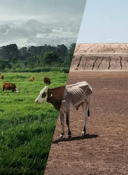 Художник цифрового коллажа Угур галленкуш создаёт выразительные работы о глобальной несправедливости. 01