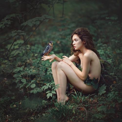 Lost In The Forest (затерявшаяся в лесу). 09