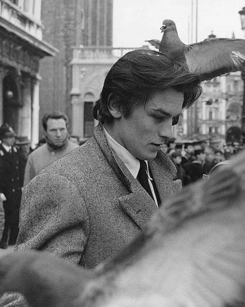 Ален делон в объективе фотографа Jack Garofalo. 02