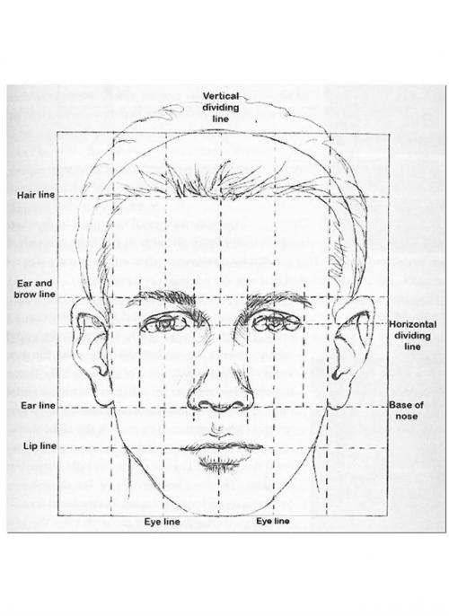 Луис гибсон создала сотни узнаваемых лиц с помощью карандаша. 03