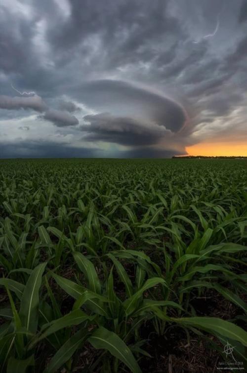 Тревожная атмосфера рассказов Стивена кинга в работах фотографа Aaron J. Groen. 01