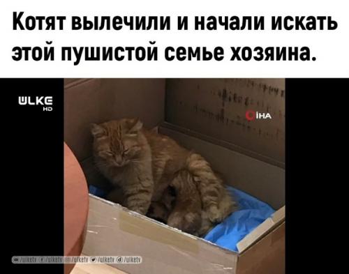 Хоть какие-то хорошие новости! 02