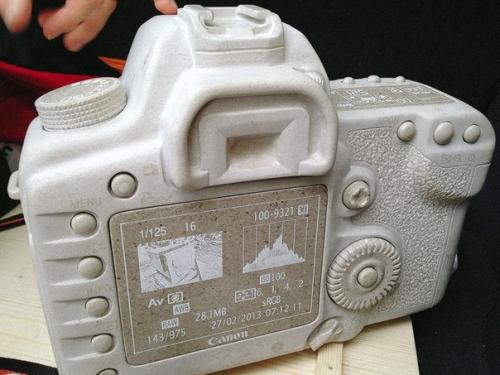 Каменный Canon EOS 5D Mark II с объективом EF 35mm f/1. 01