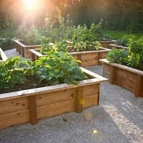 Простые идеи высоких грядок. 04