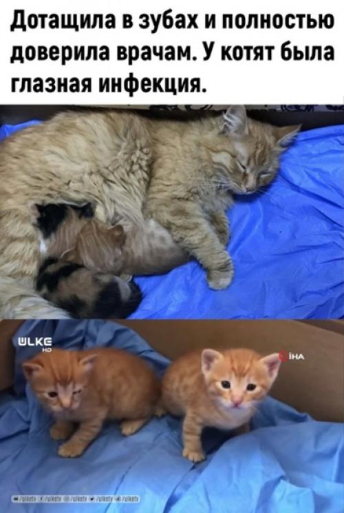 Хоть какие-то хорошие новости! 01