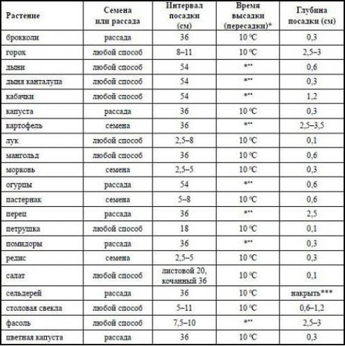 Рассада.  Когда и что сажать? 01