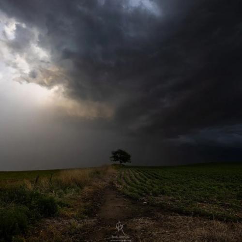 Тревожная атмосфера рассказов Стивена кинга в работах фотографа Aaron J. Groen. 03
