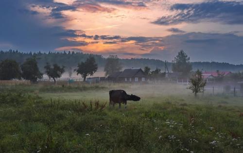 Прекрасные безмолвные пейзажи. 05