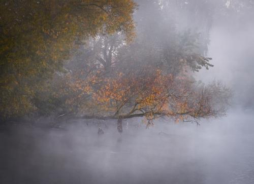 Прекрасные безмолвные пейзажи. 03