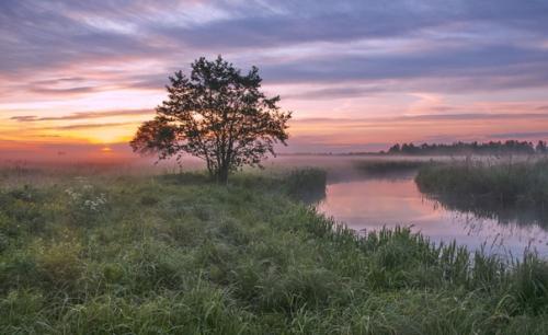 Прекрасные безмолвные пейзажи. 07