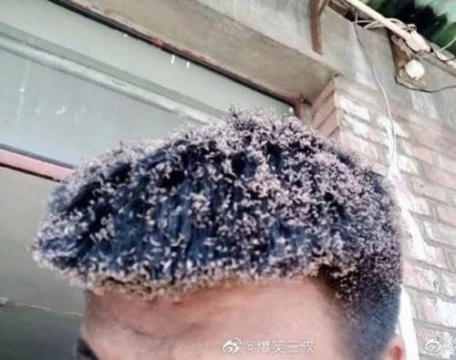 Когда понял, что быть электриком не твоё. 03