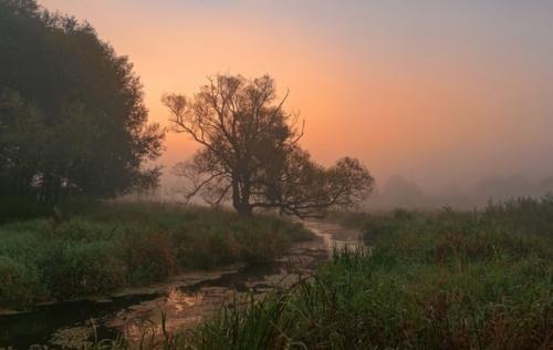 Прекрасные безмолвные пейзажи. 01