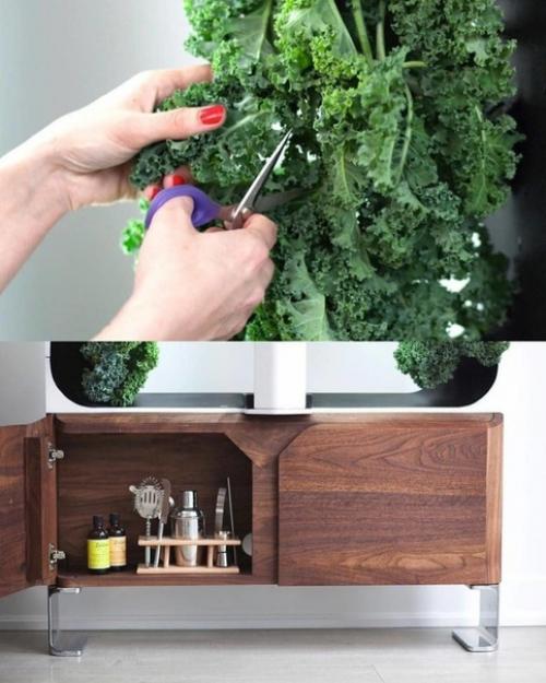 Домашний сад от Conner Tidd & Kevin Jakiela. 04