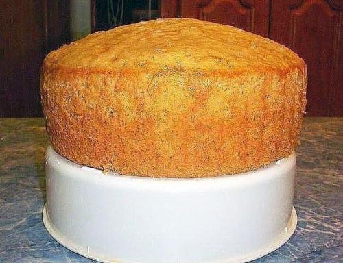 Бисквит на любом лимонаде с газом! 02 Бисквит на любом лимонаде с газом! 02