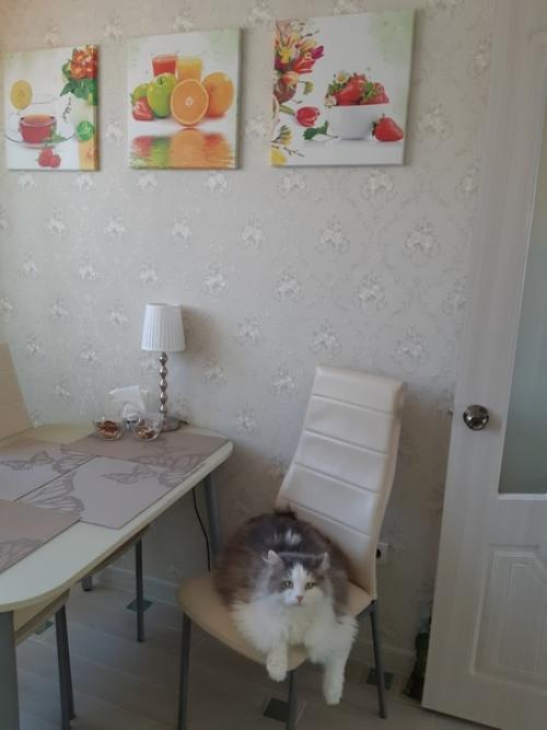 Спасибо, Олечка, за прекрасный макияж и прическу на мой день рождения! 01