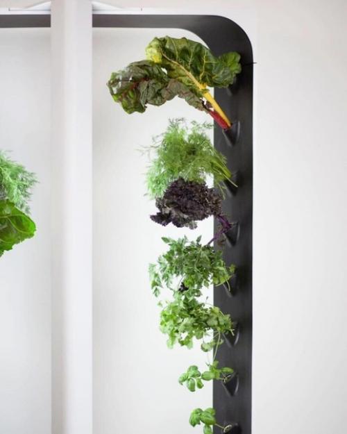 Домашний сад от Conner Tidd & Kevin Jakiela. 01