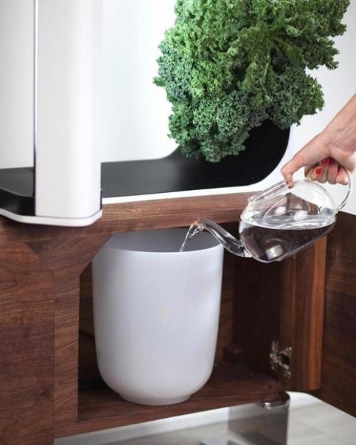 Домашний сад от Conner Tidd & Kevin Jakiela. 03