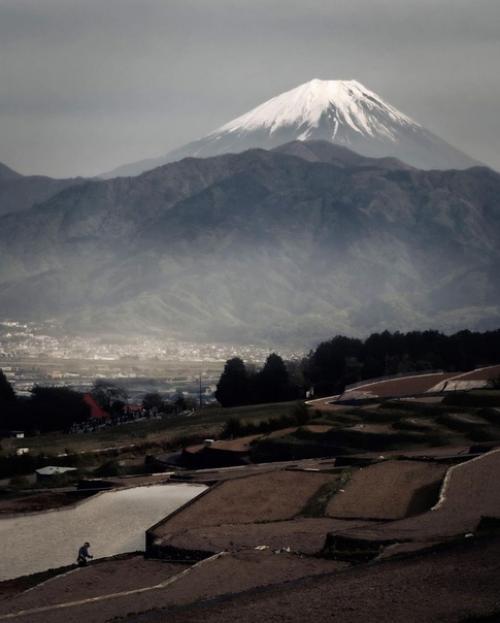 Аутентичная Япония в атмосферных работах уличного фотографа Shirako. 04