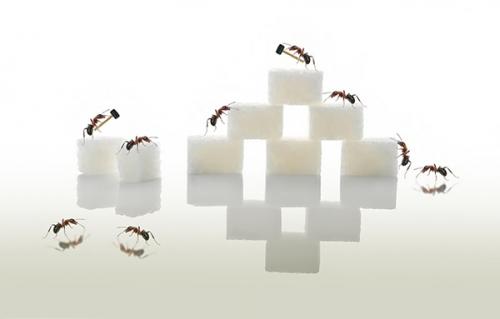 Концептуальные и креативные натюрморты от фотографа Sedef Isik. 06