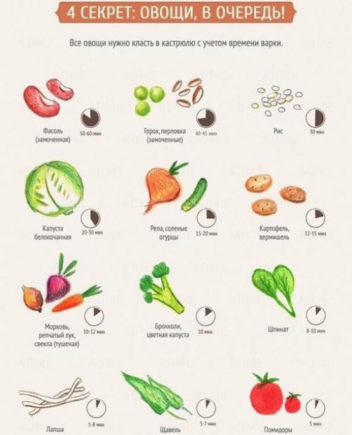 SNC Magazine июнь 2016. 02