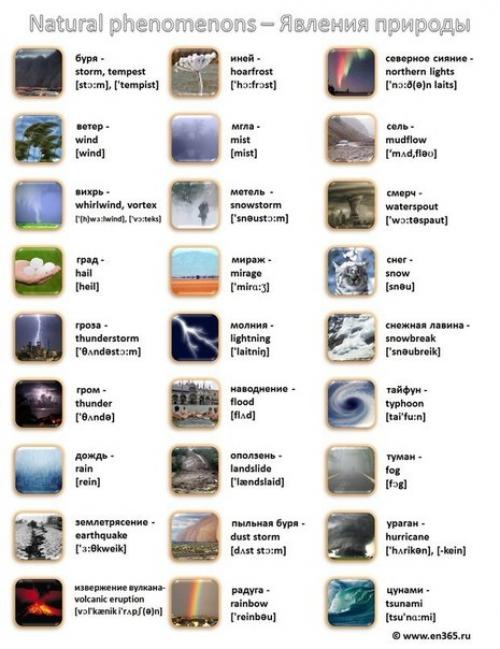 Картинка - слово - транскрипция - перевод. 08