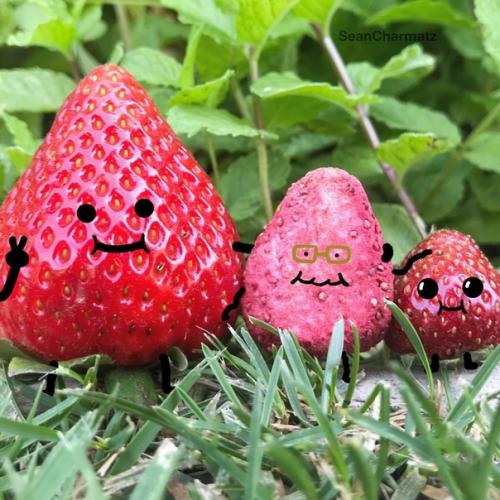 В случае если бы у фруктов и ягод были бабушки и дедушки. 03