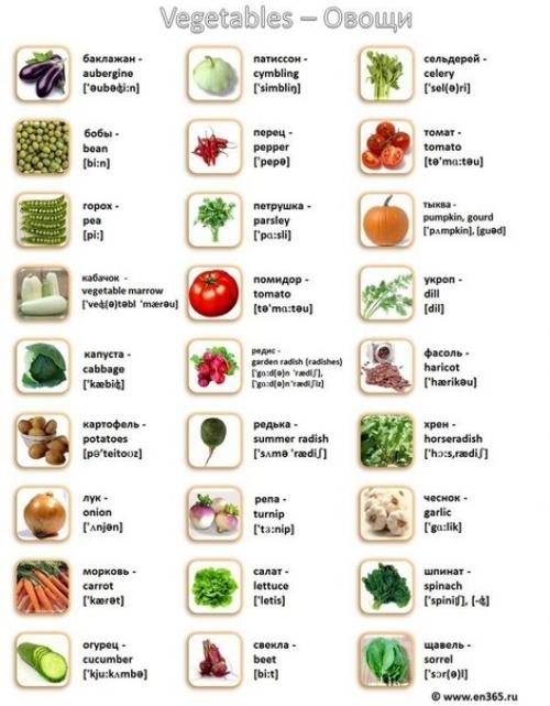 Картинка - слово - транскрипция - перевод. 01