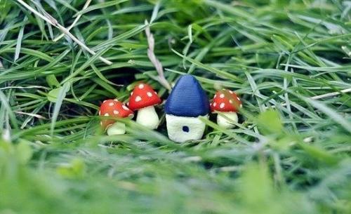 Вечнозеленый маленький мир. 01